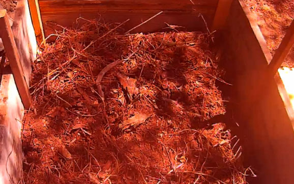 Raised-Bed Install Sticks And Dirt